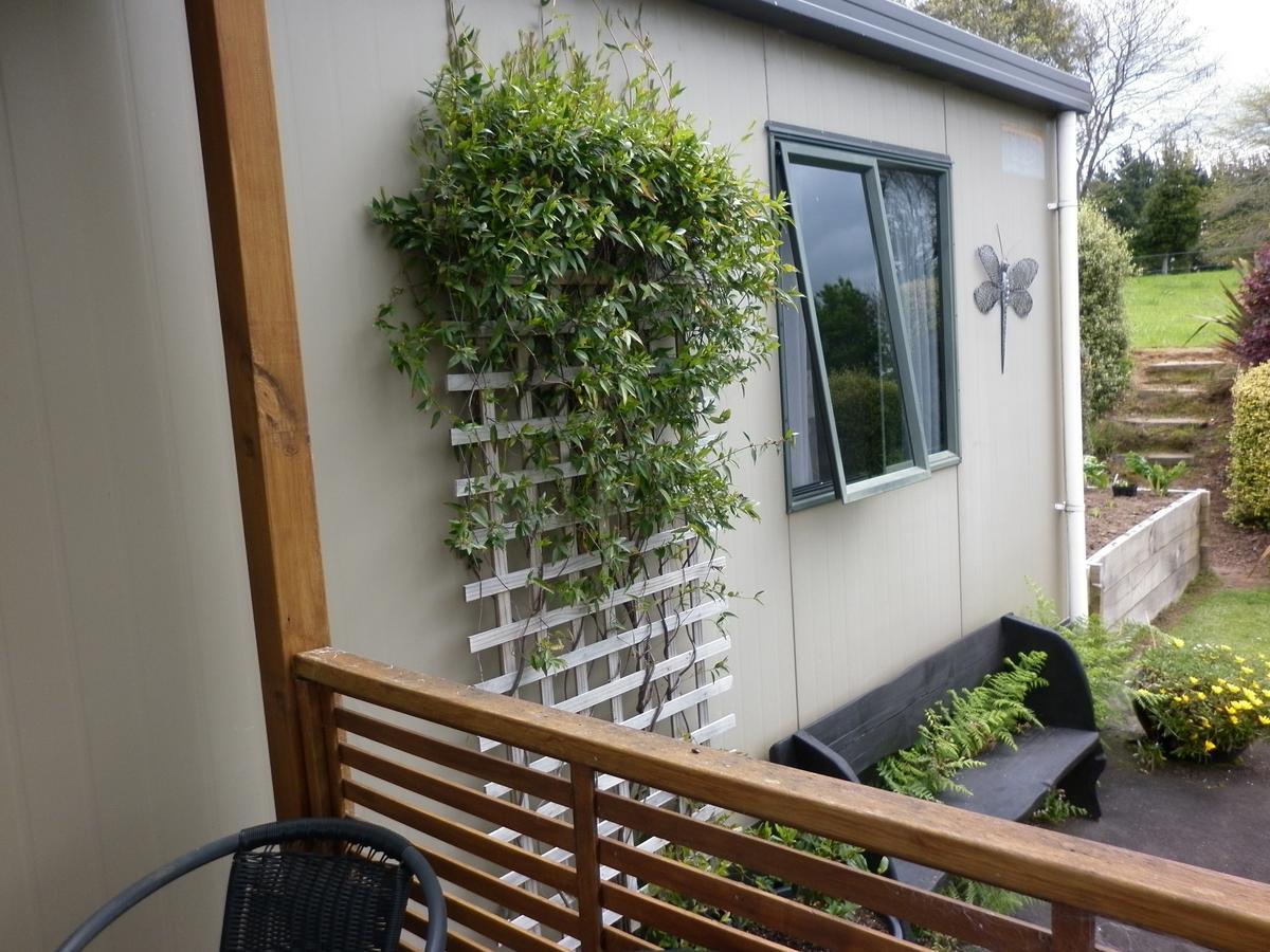 Tirau Pinedale Cottage المظهر الخارجي الصورة